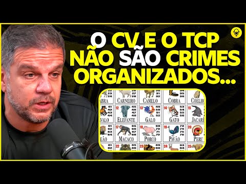 RODRIGO PIMENTEL EXPLICA O QUE REALMENTE É CRIME ORGANIZADO