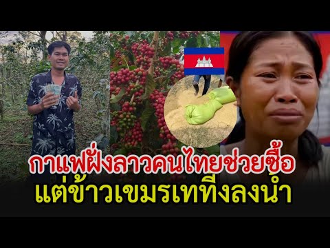 ชาวเกษตรกรฝั่งลาวยี้ม กาแฟมีคนไทยช่วยชื้อเขมรเทข้าวทิ้งลงน้ำ