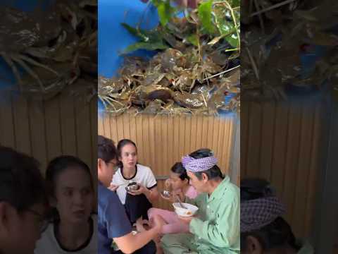 Cua giống tám chuyện |Quách Dũng Trà Vinh