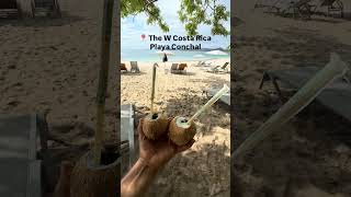 POV: Costa Rica Beach Day
