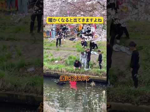 暖かい季節になりましたね。