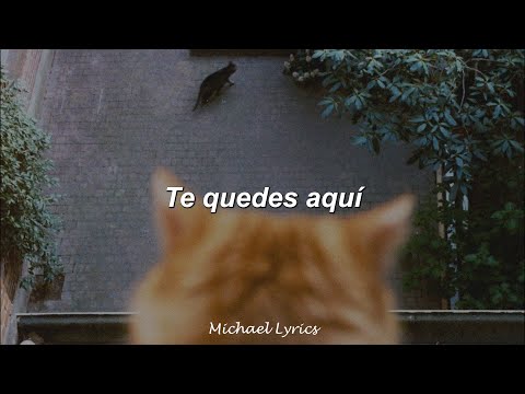 Enjambre - Ciencia De La Lluvia | Lyrics/Letra