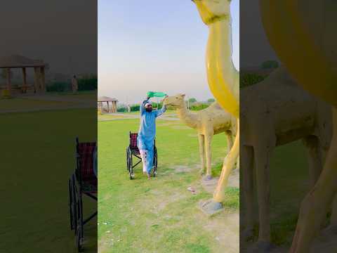  🦽Wheelchair Wale Ka 🐪camil sa anokha pyar ,ep ,13.#tranding #veral #shots #
