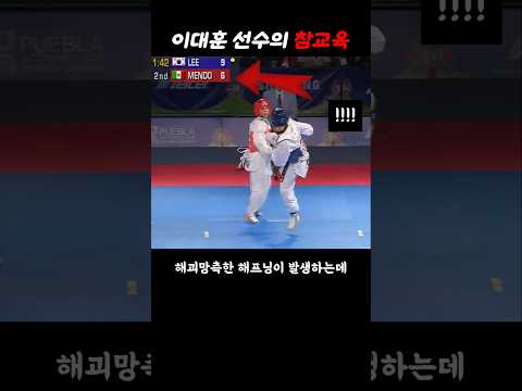 비매너 파이터를 참교육한 이대훈 선수