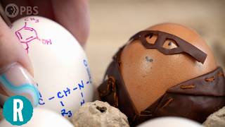 This Egg Leather is About Dinosaurs