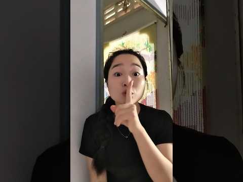 Những chú chó ngoan #shorts #funny