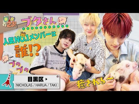 [메구로구 편] 귀여운 아기돼지와 신나는 시간🐷 #도쿄023 | &TEAM