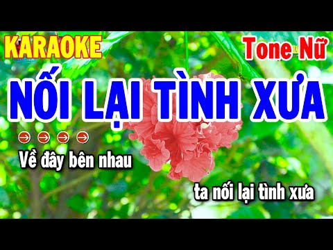 Karaoke Nối Lại Tình Xưa Tone Nữ Nhạc Sống Cha Cha Chuẩn Dễ Ca | Thanh Hải Karaoke