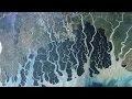 Turbidity Currents and Oceanic Features