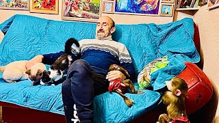 видео