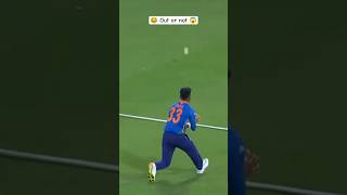 🏏😱 India vs New Zealand Boundary Catch Drama | Out or Not? Stadium Chaos & Fan Reactions