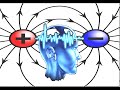 Consciousness and Physical Interactions