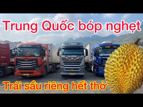Hàng trăm xe chở Sầu Riêng chờ quay đầu