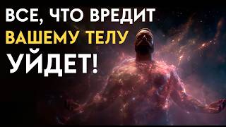 Пока Вы Слушаете — Всё Вредное Покидает Ваше Тело | Исцеление Звуком | Исцеляющая Медитация