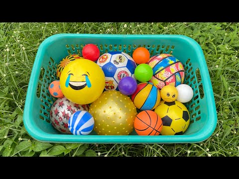Mencari Bola Bola Basket, Bola Sepak, Bola Warna Warni, Ikan, Bebek, Mobilan, Kura Kura,Bintang Laut