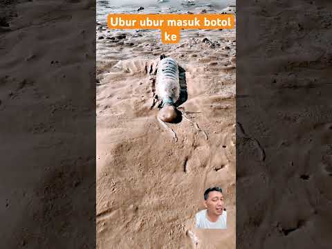 Ubur ubur masuk botol le !! #funny #fishing #beach #nature #fish #animals #trending #shorts