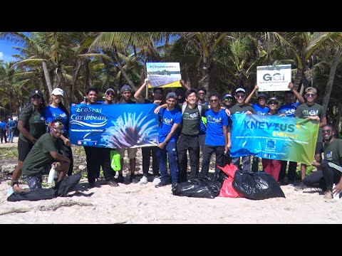 1,000+ Volunteers Join Beach Clean-up To Support Turtle Nesting And Conservation