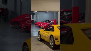 Taking out the Yellow 288 GTO…
