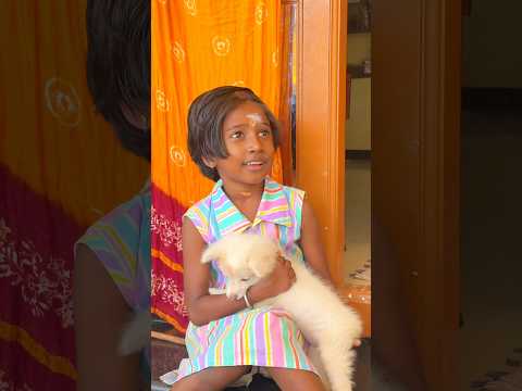 Will New Arrival❗️நம்ம veetuku செல்ல Pets வந்தாச்சு♨️குழந்தைகளின் ஆச எதுவோ😍|#rajarubi #shorts