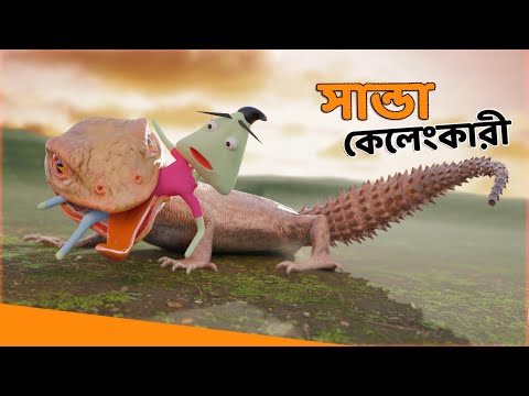 Sanda Kelengkari | Naheed Bro