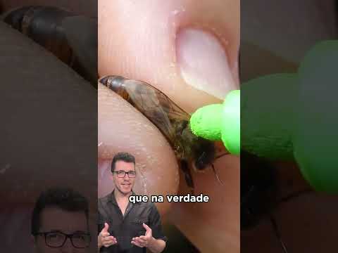 O que ele tá fazendo com a abelha? 🤔