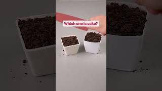 Real or Cake? 😁🍰 #hyperrealisticcake #realorcake