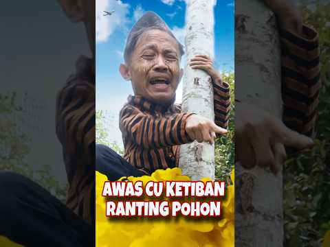 KETIBAN RANTING POHON