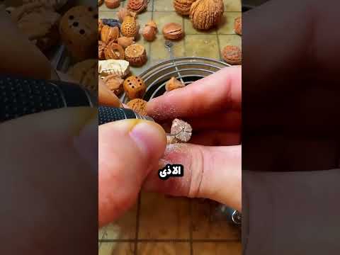 يجني آلاف الدولارات من نوى الخوخ! 🤯
