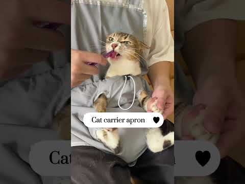 Cat carrier apron, Link is on bio or copy:www.niopets.com