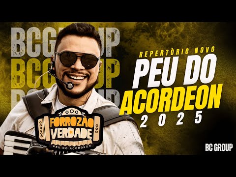 🔶 PEU DO ACORDEON 2025 - FORROZÃO DE VERDADE 🔶