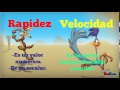 Conceptos de Rapidez, Velocidad y Aceleración