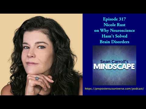 Mindscape 317 | Nicole Rust on Why Neuroscience Hasn't Solved Brain Disorders