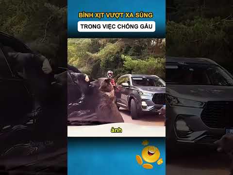 BÌNH XỊT VƯỢT XA SÚNG TRONG VIỆC CHỐNG GẤU