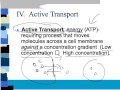 Active and Passive Transport Concepts