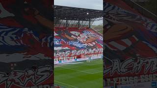 Choreo "SCHLACHTHOF HAFENSTRASSE" 😍😍😍 RWE vs MSV 1:0