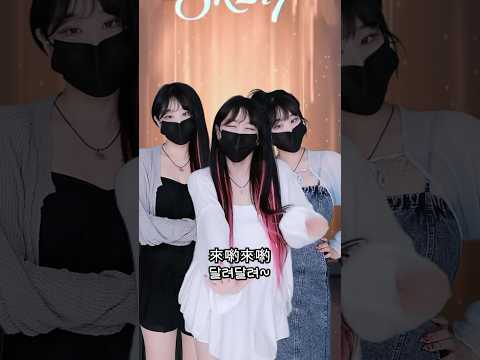 알고리즘 장악한 중국 후원리액션 한국어ver. ㅋㅋㅋㅋㅋㅋ