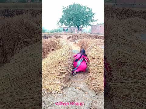आओ राजा vidhya Bhauji #sorts#shortsvideo #youtubshorts