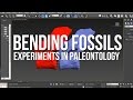 Vertebrate Paleontology and Bending Experiments
