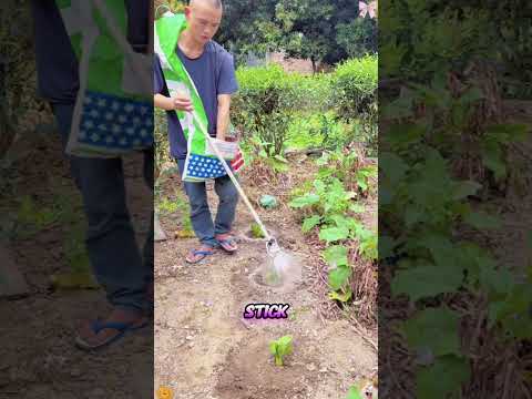 Simple Garden Hack!#shorts