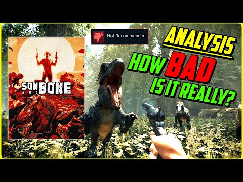 Analysis: How BAD Is Son And Bone Really?
