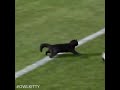 Analyzing Movement and Performance in Sports