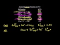 Calculating Standard Cell Potential from Reduction Potentials