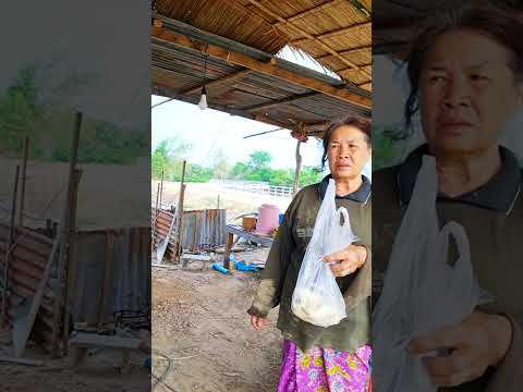 จะเอาข้าวโพดต้มให้คือมาตอบกวนๆน้อบ่าน4มีนาคมค.ศ.2025 ยายม้วน คนเดิม จะเอาข้าวโพดต้มให้คือมาตอบกวนๆน้อบ่าน4มีนาคมค.ศ.2025