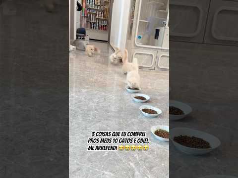 Deixei o link de todos aqui na minha Bio do YouTube