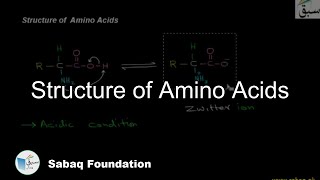 Structure of  Amino Acids