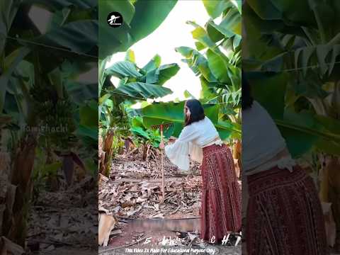 இத கடைசி வர பாருங்க! | Facts Tamizhachi_Facts Ulagam_Fact In Tamil_#shorts