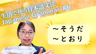 【生活で使う日本語文法 ＃6】「～そうだ」「～とおり」