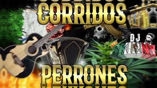 Corridos perrones