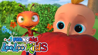 🐜Les Fourmis Marchent - Chansons Pour Les Petit - Comptines Bébé - LooLoo Kids Français