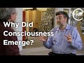 Consciousness and Attention in Biology